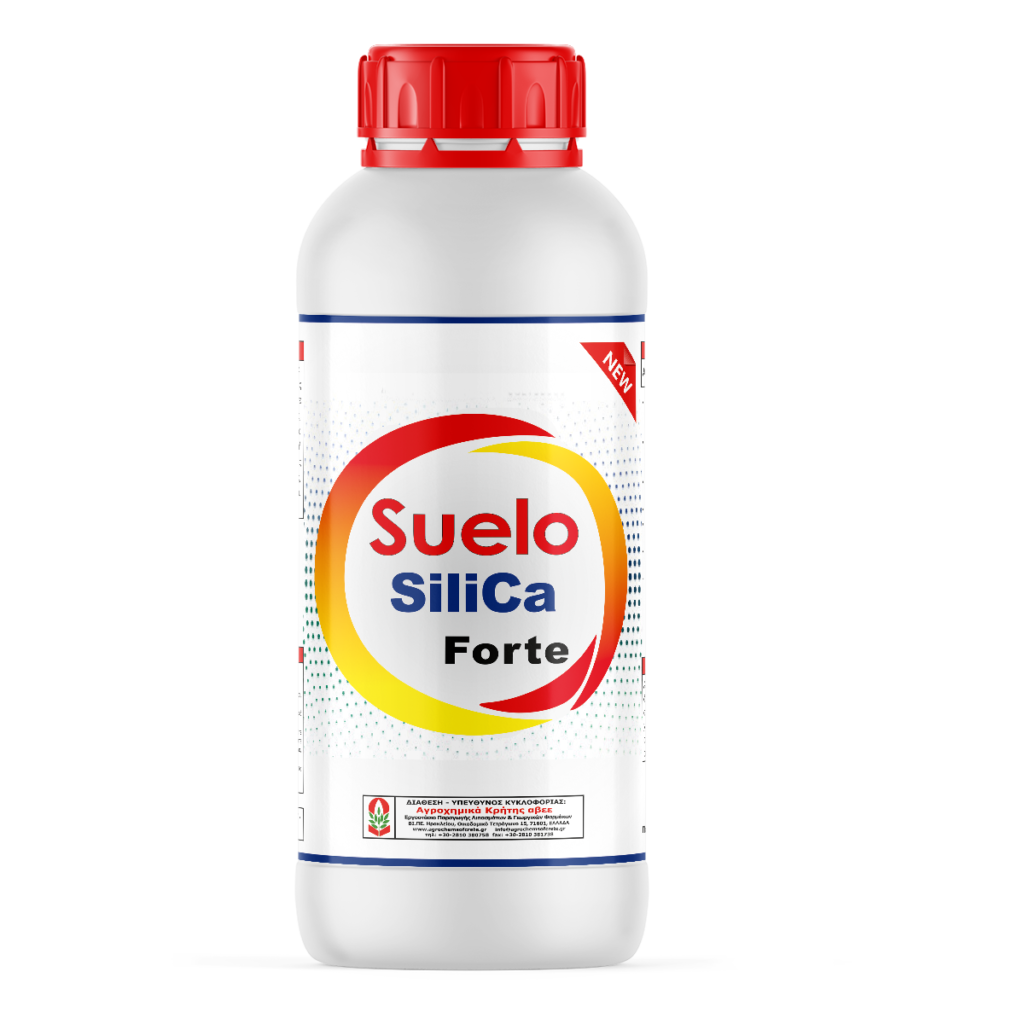 Suelo SiliCa Forte