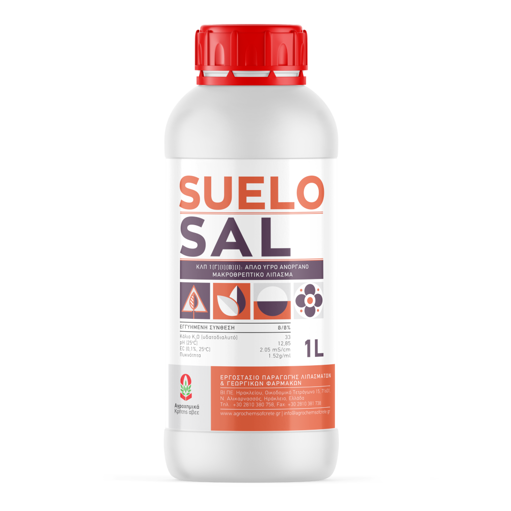 Suelo Sal
